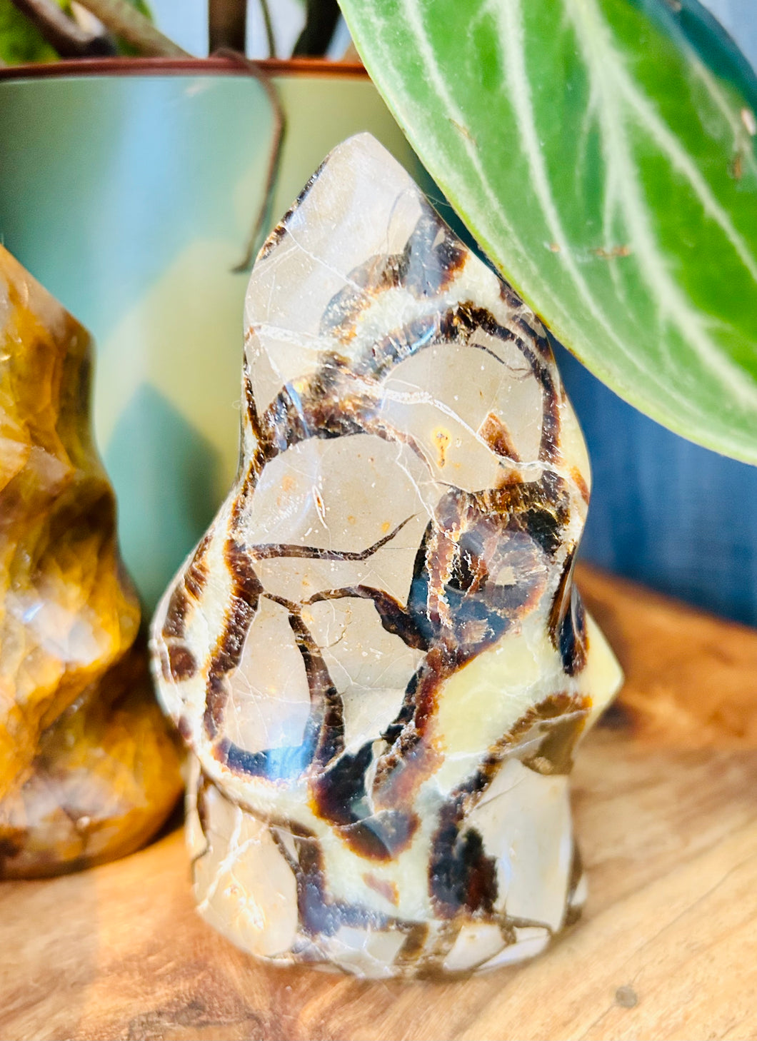 Septarian flame