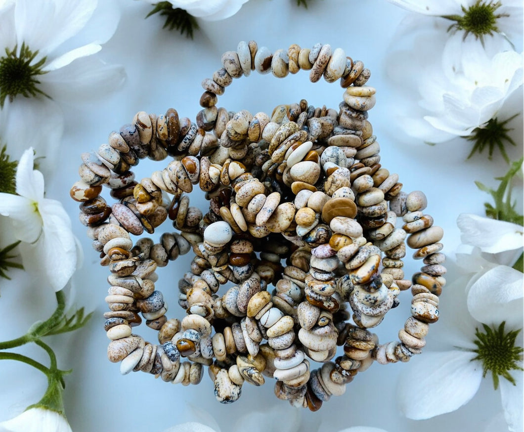 Picture Jasper Bracelet