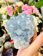 Load image into Gallery viewer, Celestite cluster
