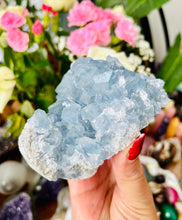 Load image into Gallery viewer, Celestite cluster
