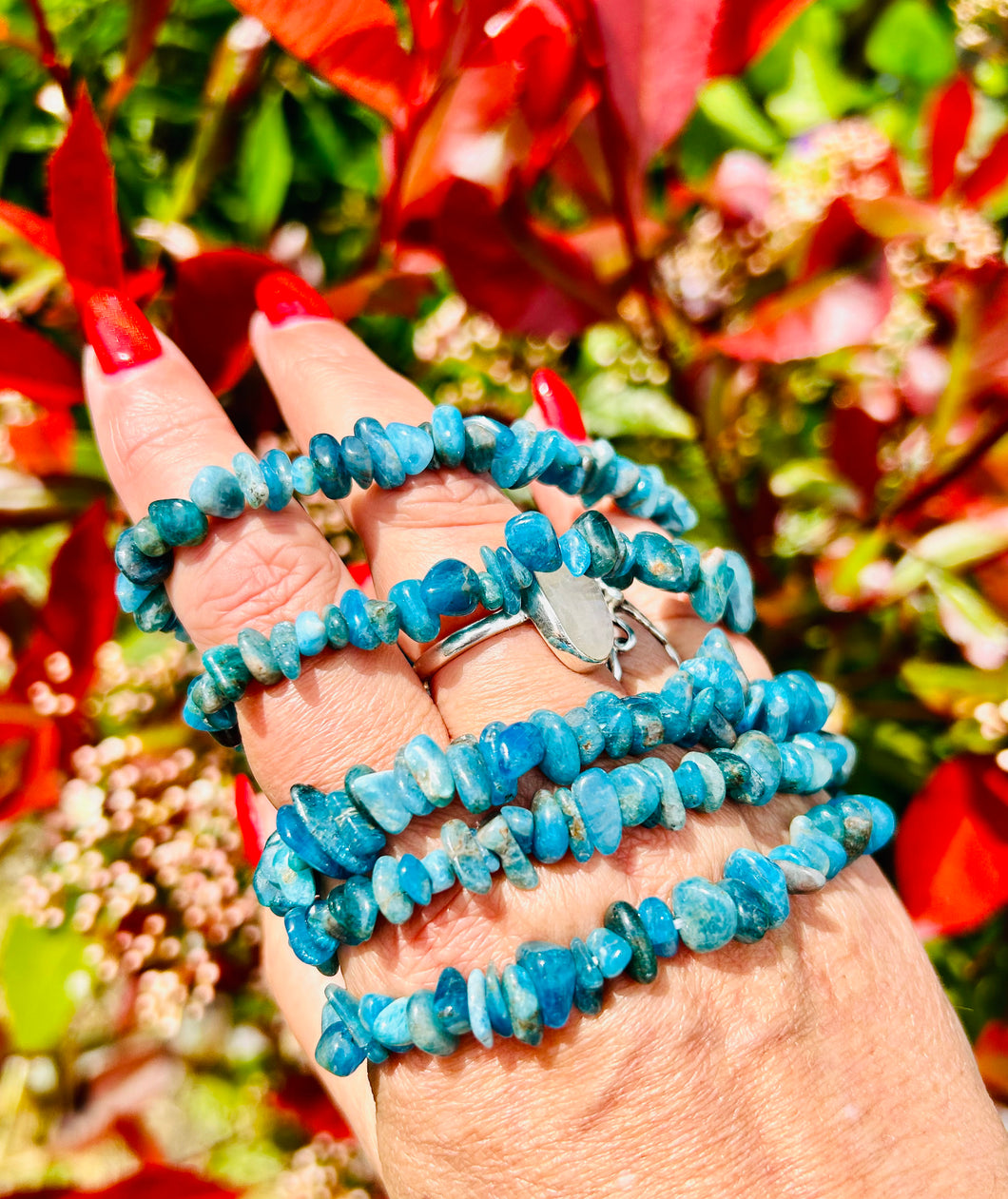 Apatite bracelets