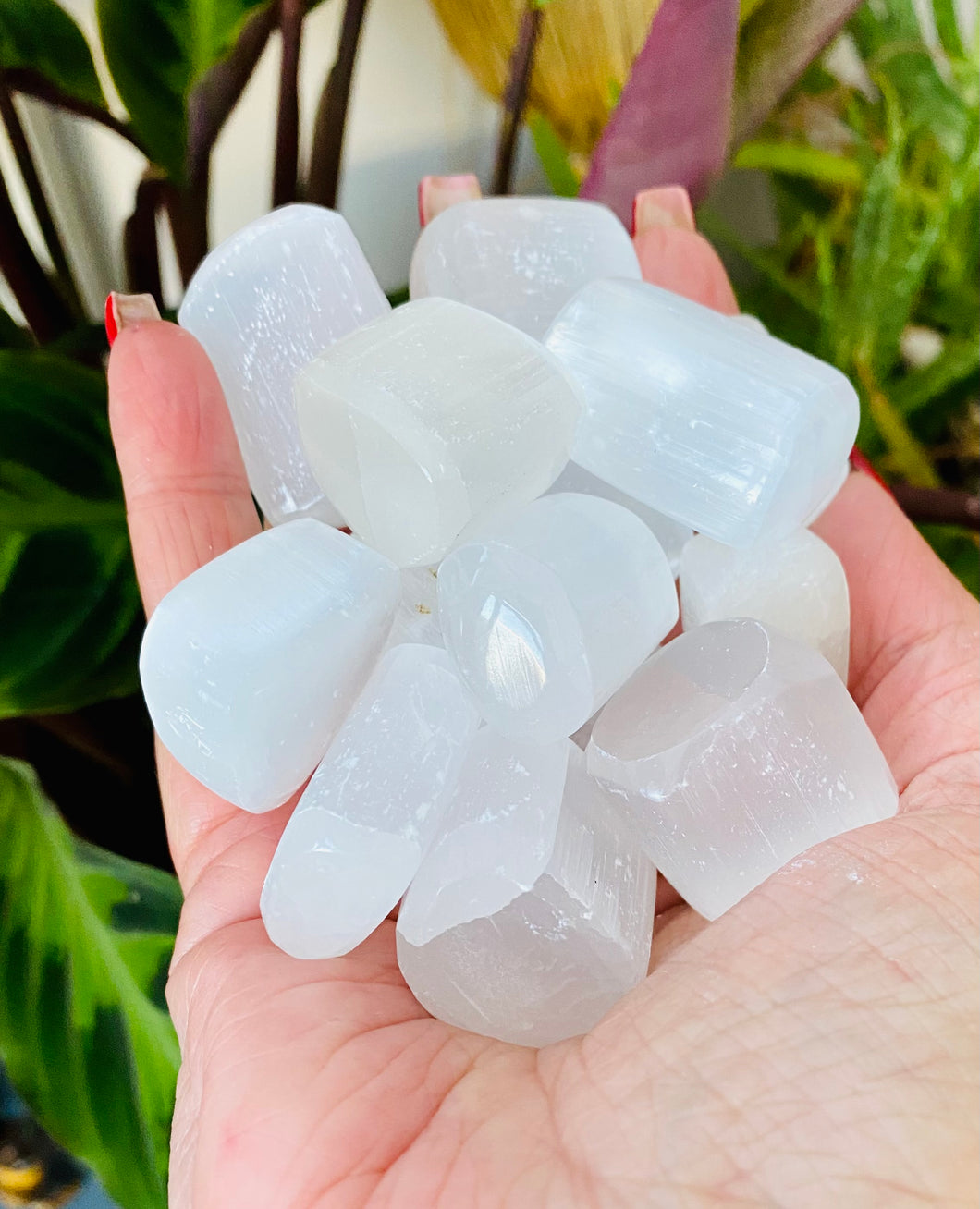 Selenite tumbles