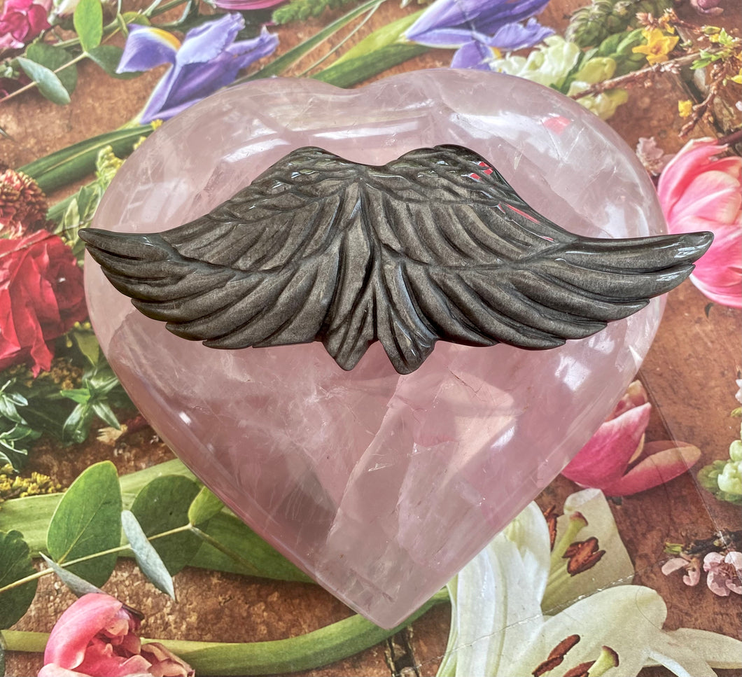 Sheen obsidian Angel Wings