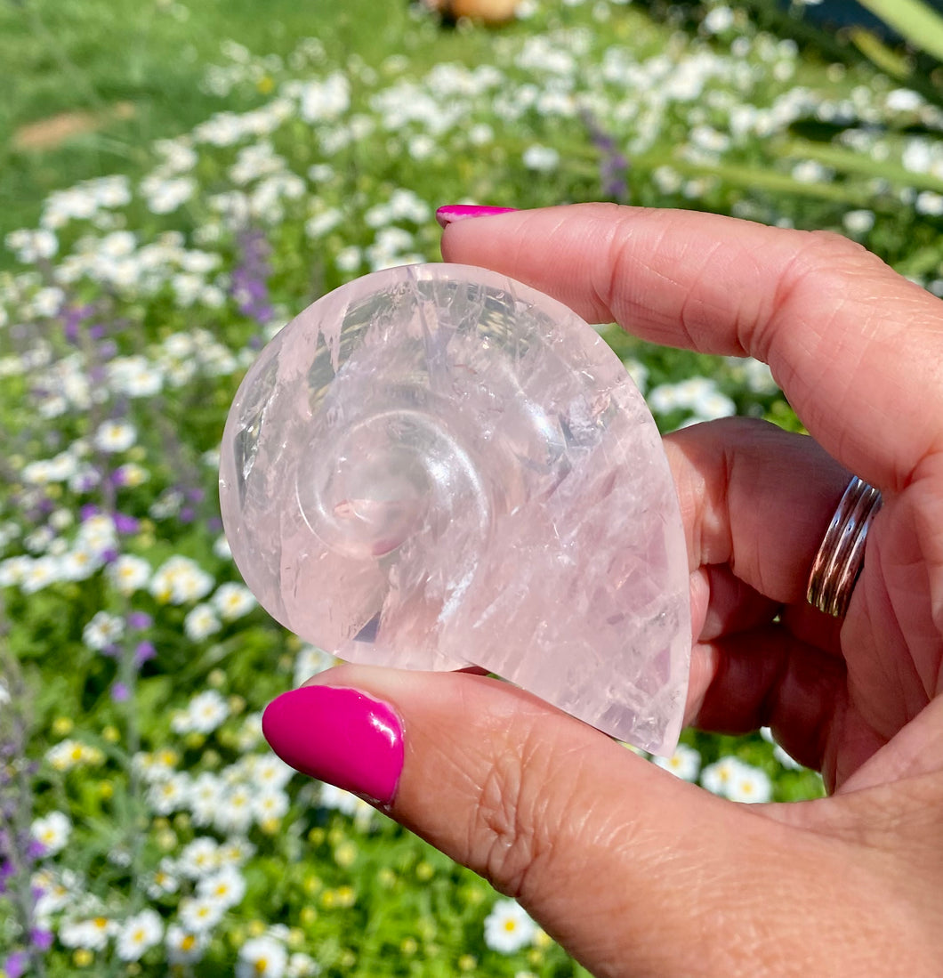 Rose Quartz Ammonite