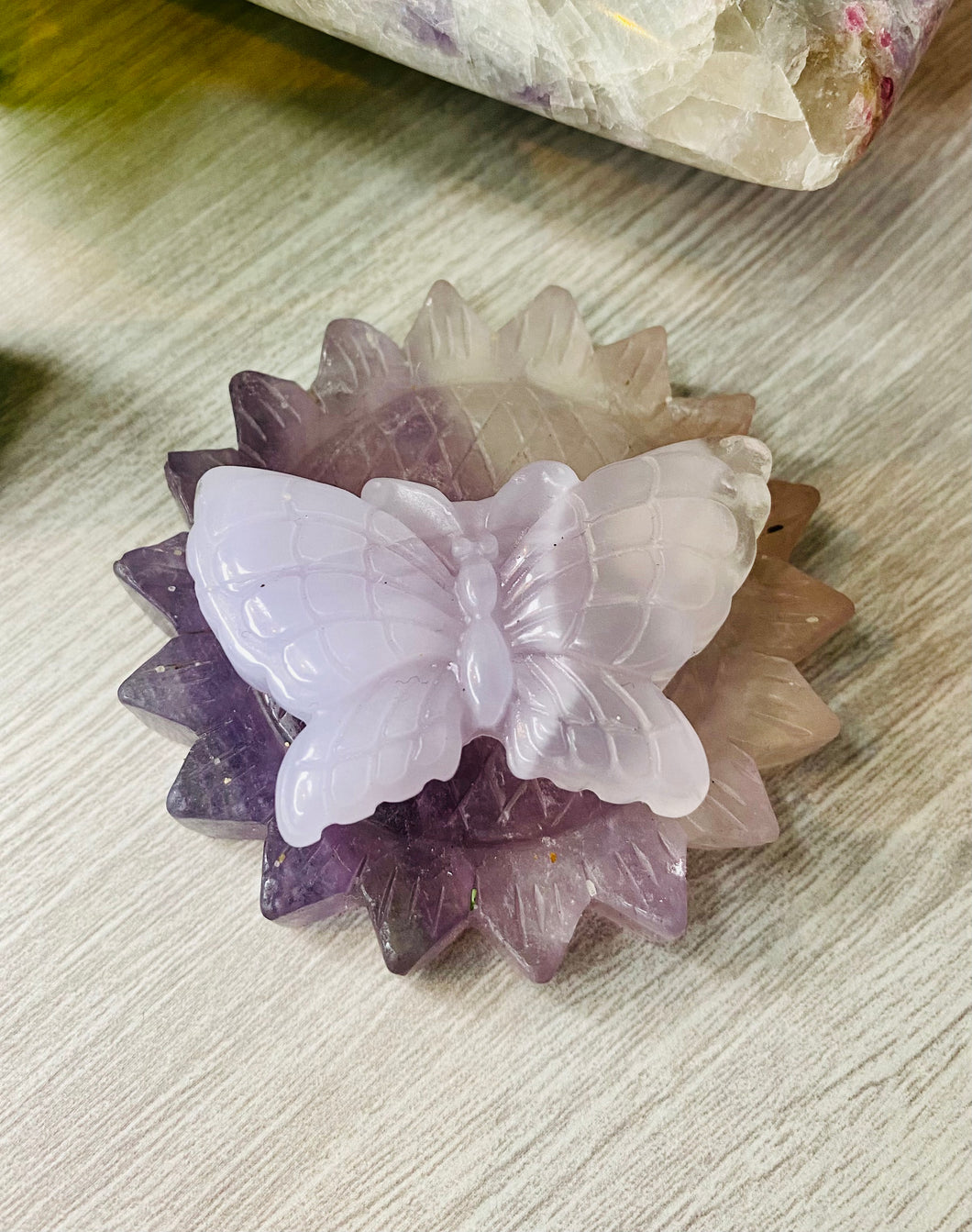 Violet Fluorite butterflies