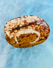 Load image into Gallery viewer, Ocean Jasper pebbles
